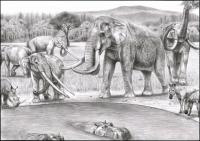 Global climate dynamics drove the decline of mastodonts and elephants, new study suggests