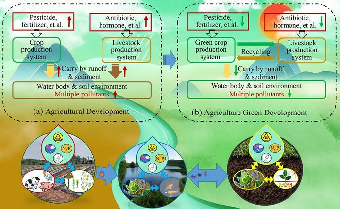 Graphical abstract [IMAGE] | EurekAlert! Science News Releases
