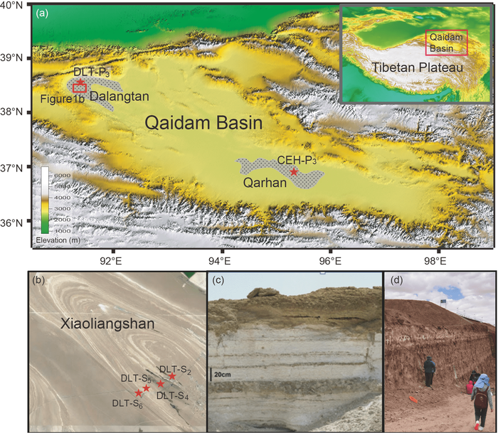 Distribution characteristics of lipids from salt sediments in QaidamBasin and their astrobiological significance