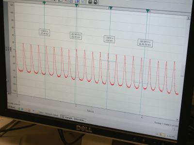 Computer Screen Snapshot