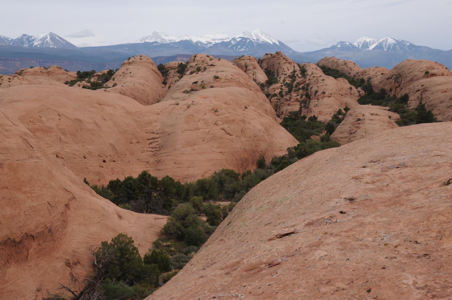 Navajo Sandstone