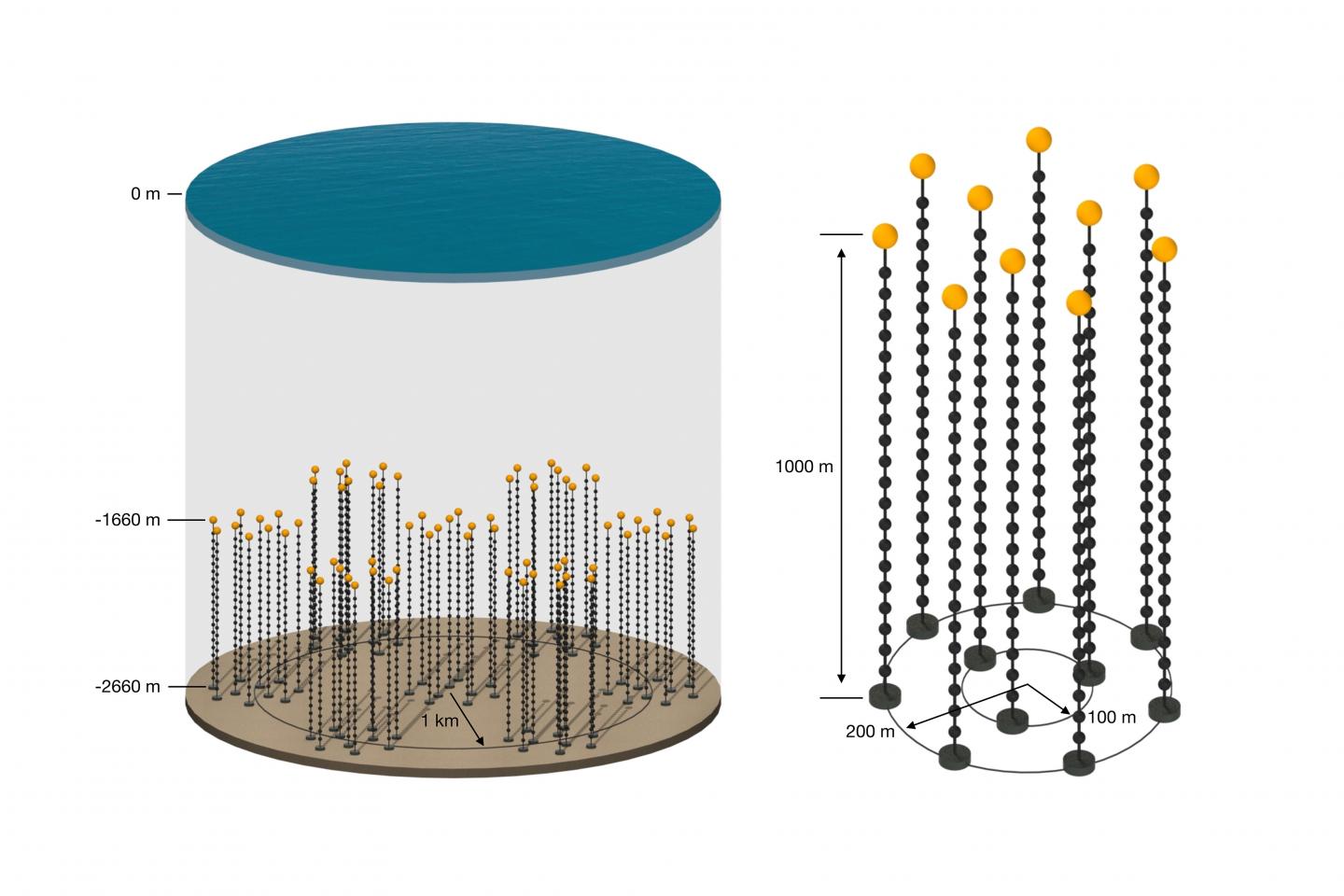 Das P-ONE Neutrino-Teleskop