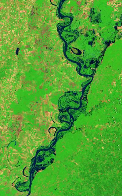 Landsat 5 Image of Flooded Mississippi River