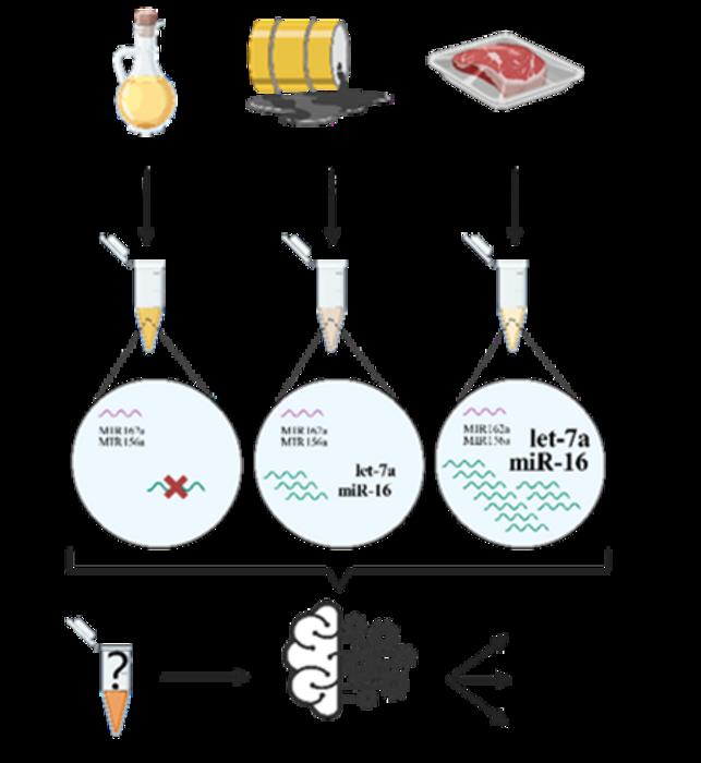 The abundance data of let-7a and miR-16 obtained through qRT-PCR, when combined with the SVM algorithm, can serve as an effective method for distinguishing gutter oil.