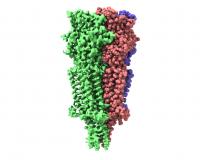 General View of the 5-HT3 Receptor