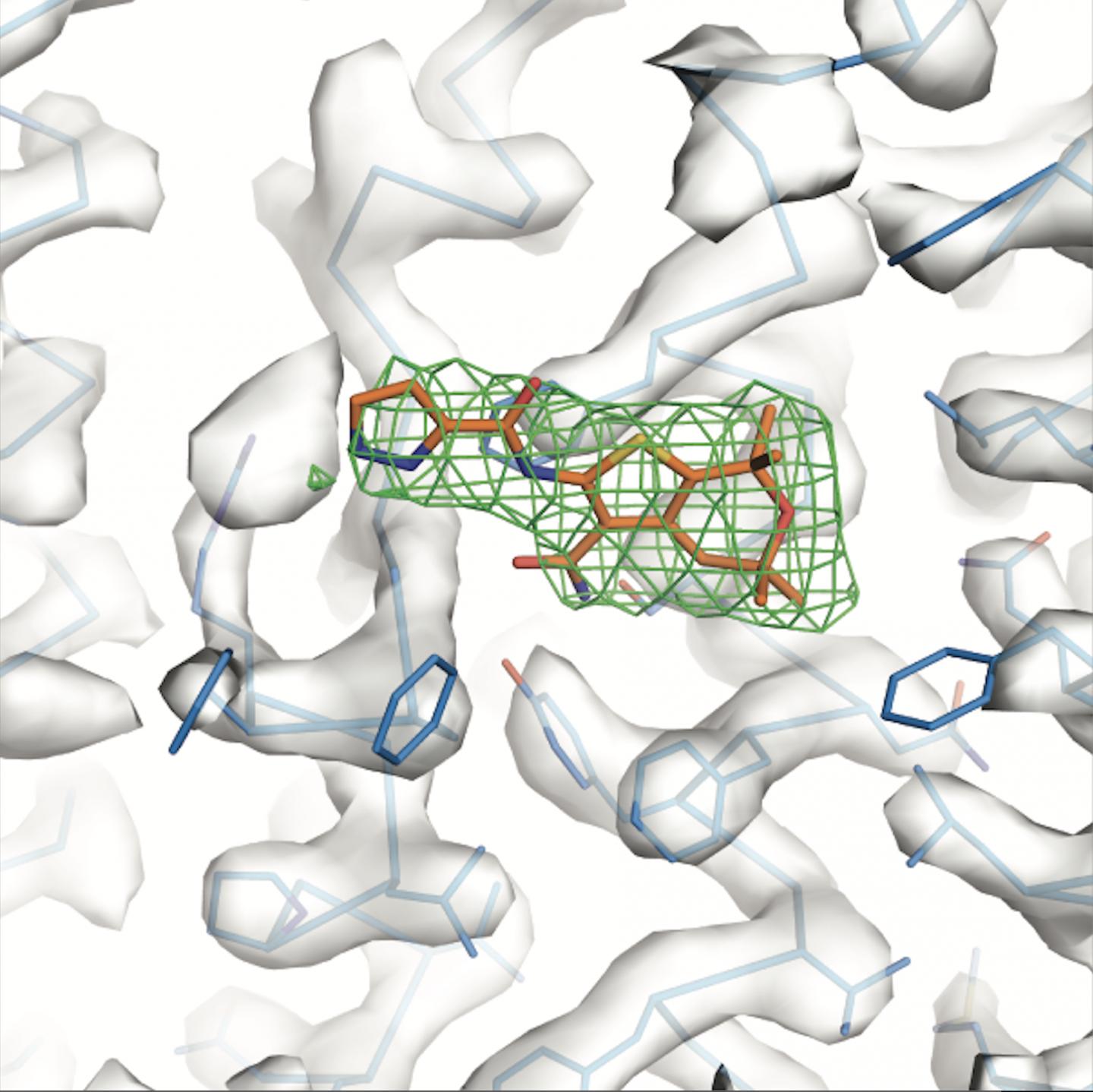 Cystic Fibrosis Protein