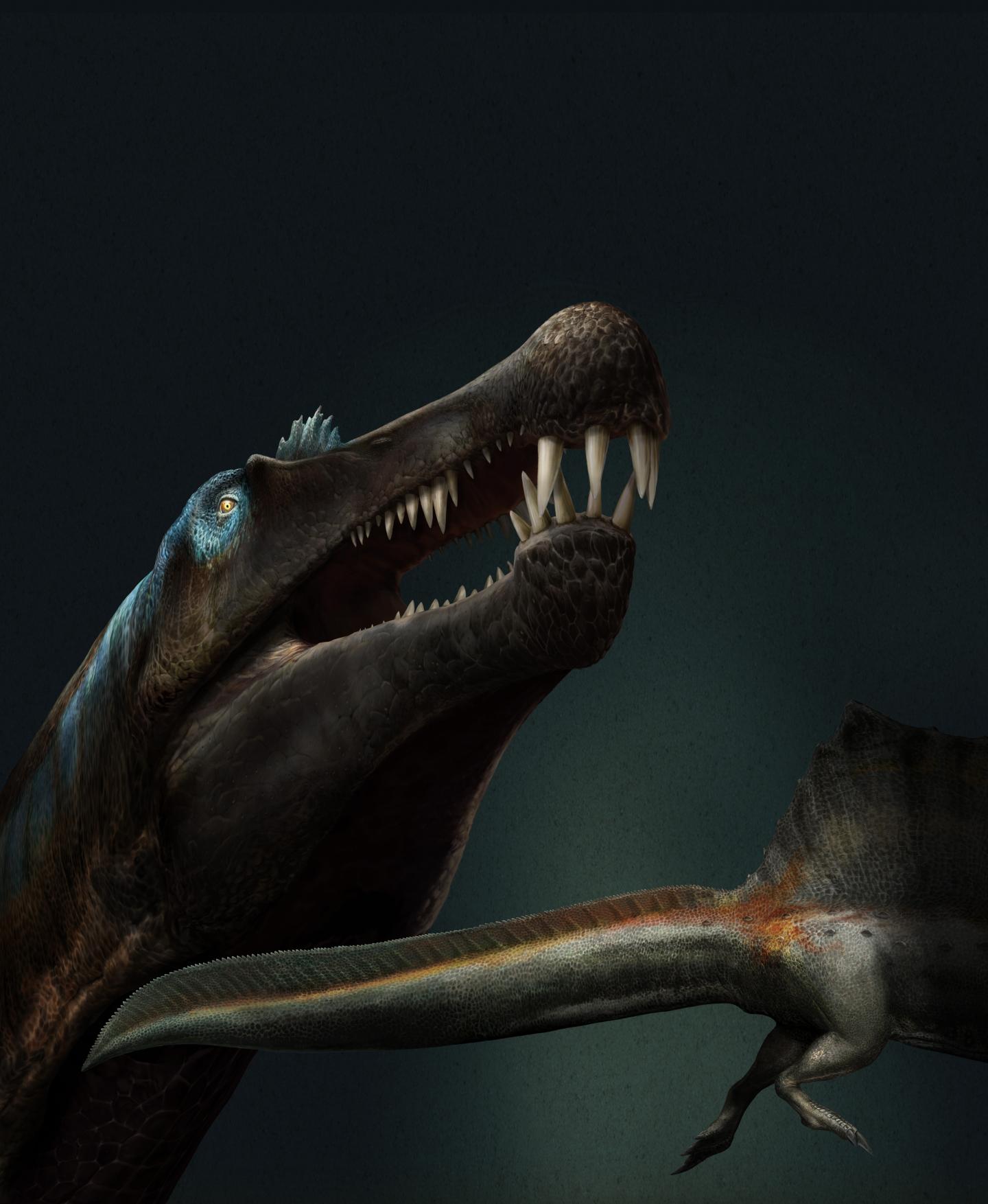 Spinosaurus