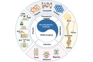 Overview of the relationship between bio-piezoelectric scaffolds and 3D/4D printing about the piezoelectric materials, printing processes, induction strategies, and potential applications