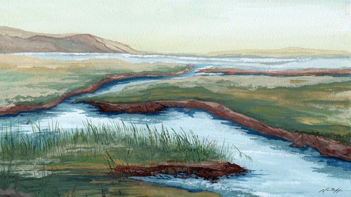 Painting of Upper Newport Bay