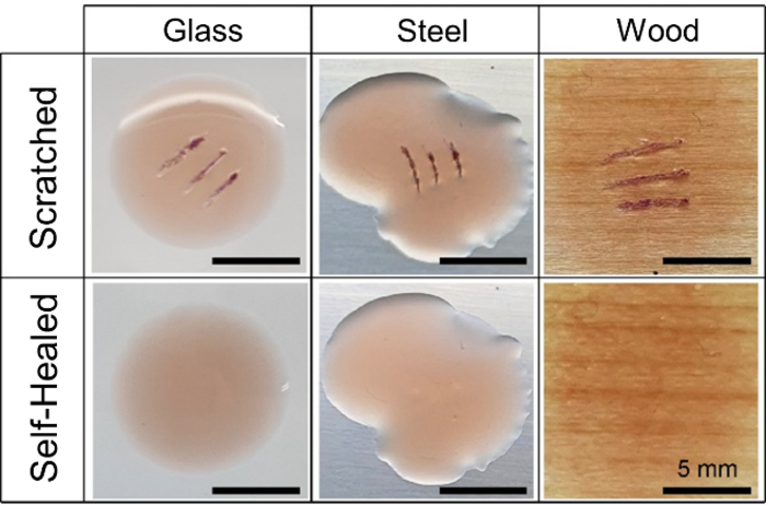 Figure 2