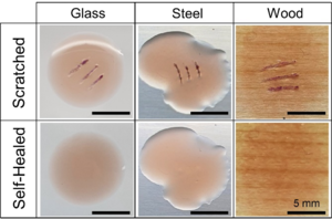 Figure 2