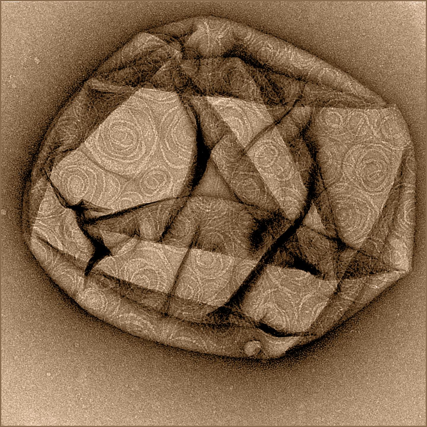 Structure of Several Snf7 Spirals