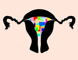 Clonal expansion of the endometrium