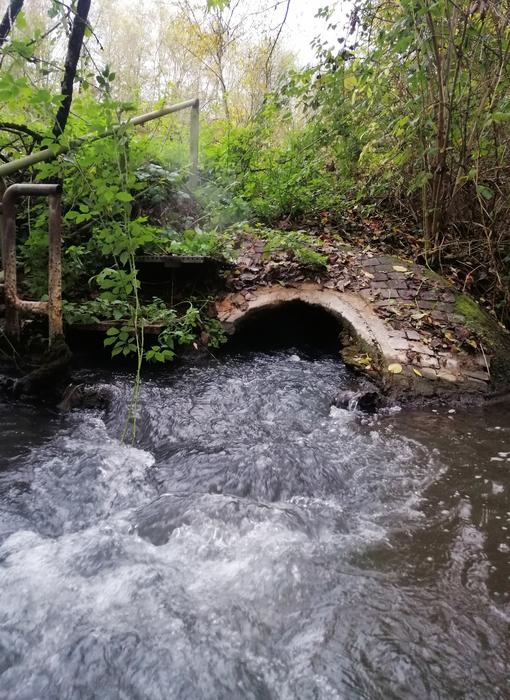 Treated wastewater is discharged into a nearby stream.