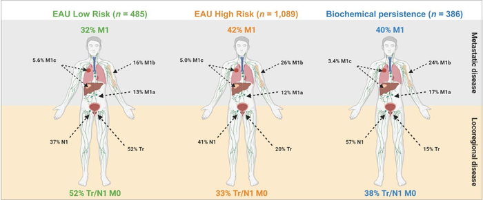 PET disease extent in EAU BCR low-risk patients, EAU BCR high-risk patients, and BCP patients (A) and predictors of PET M1 disease (B).