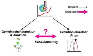 EvolCommunity