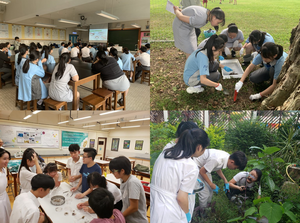 Students in the field