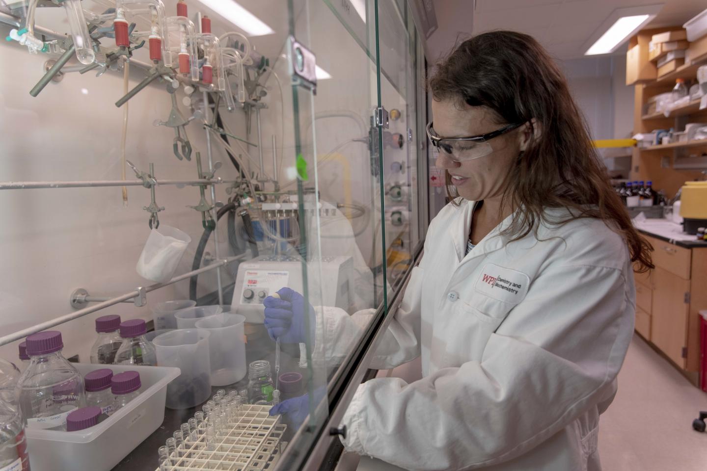 Carissa Olsen, Worcester Polytechnic Institute