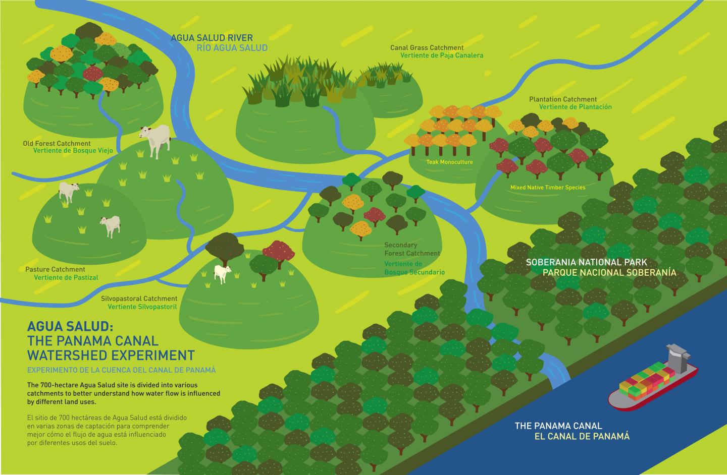 The Agua Salud Experiment