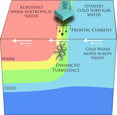 Kuroshi Warm Meets Cold
