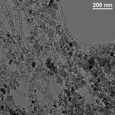 New Non-Precious Metal Catalyst Could Revolutionize Energy Storage