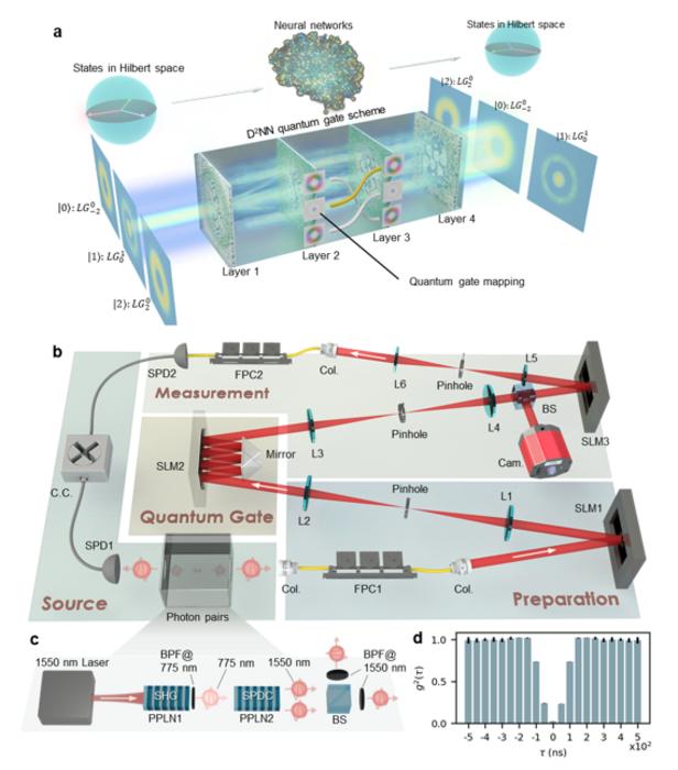 Architecture of the spatial mode quantum gate using diffractive deep neural networks (D²NNs).