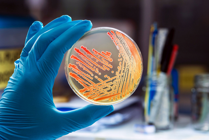 Hidden Bacteria Presents a Substantial Risk of Antimicrobial Resistance in Hospital Patients