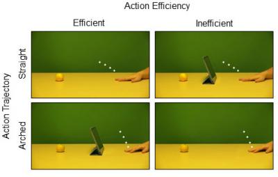 Image 1 Experiment View