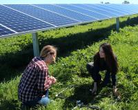 Solar Farm with Rebecca Hernandez