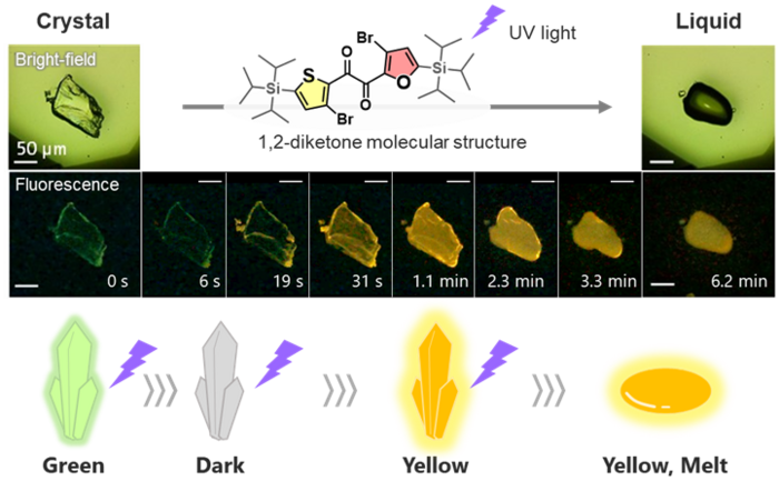 Fig 1 Image Eurekalert Science News Releases 