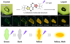 Fig. 1