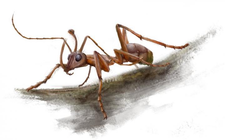 Reconstruction of <em>Ceratomyrmex ellenbergeri</em>