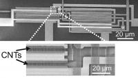 VLSI Circuits with Carbon Nanotubes