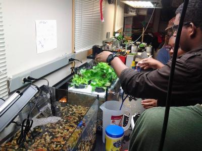 Cultivating a Green Collar Workforce in Boston