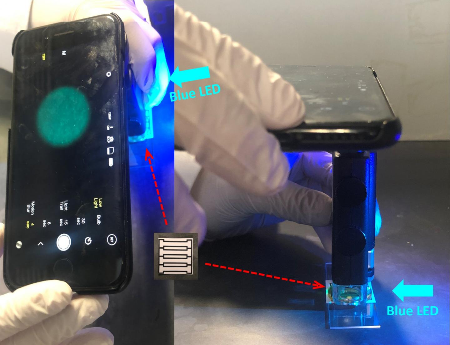 Smartphone-Based Device for Detecting Norovirus, the 'Cruise Ship' Microbe (Video)