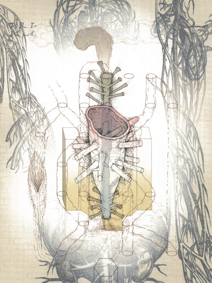 Health Commentators Say There is a Lingering Consent Problem in Biobanking