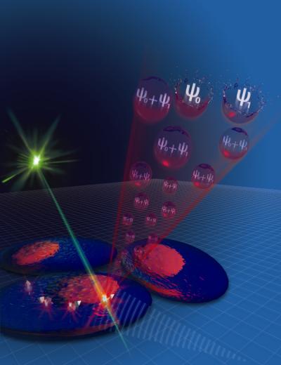 Quantum Sensor in a Living Human HeLa Cell