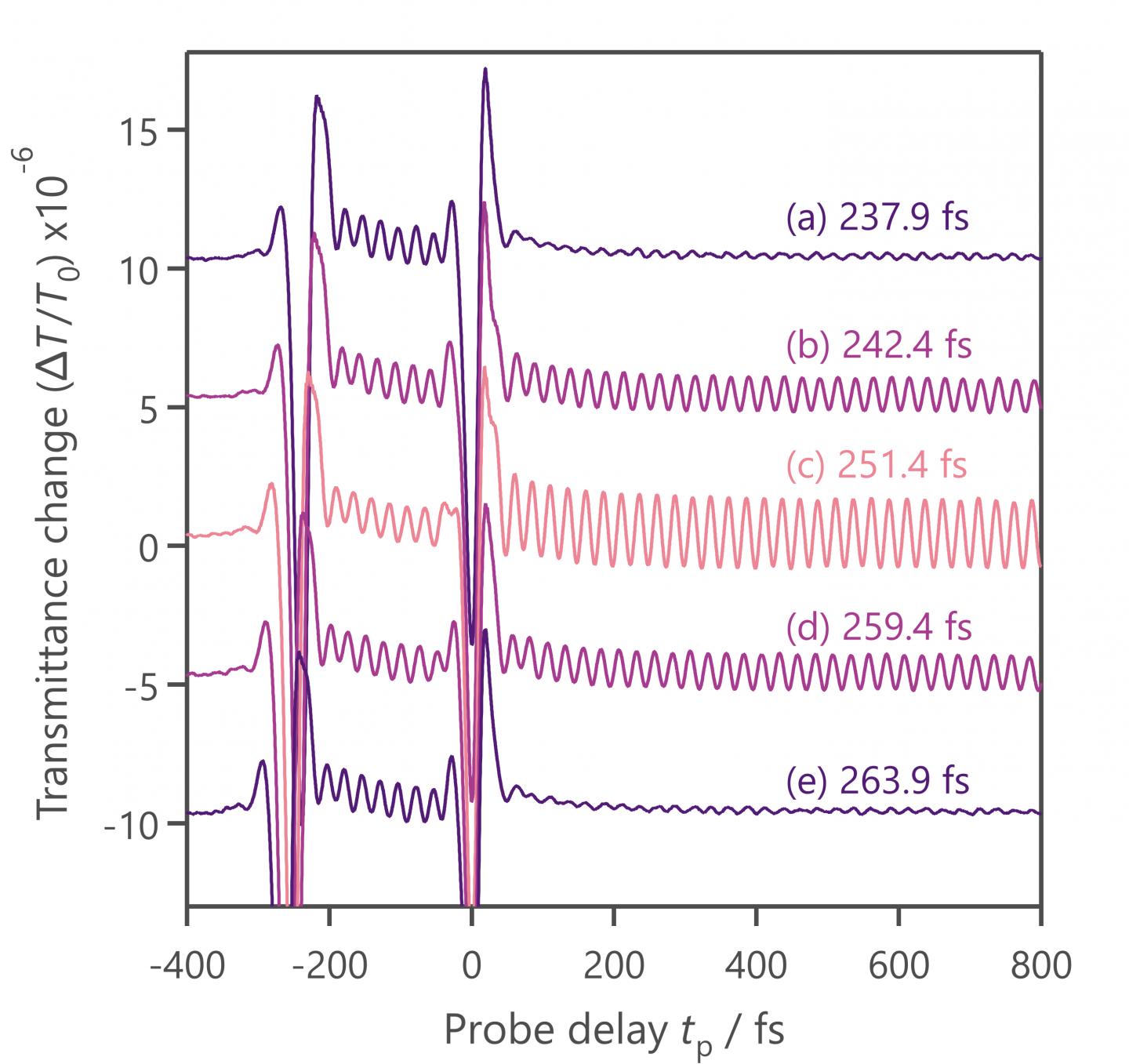 Amplitude Control of Phonon Oscillation in Diamond