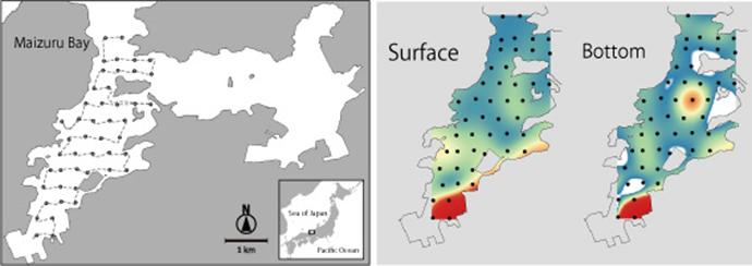 Researchers in Maizuru Bay