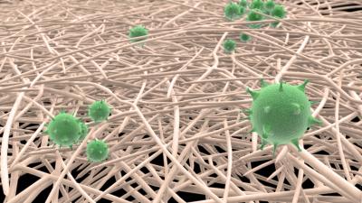 Virus Filter in Action