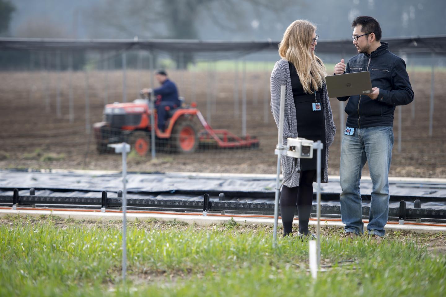 CropQuant -- Bringing Crop Analysis into the 21st Century