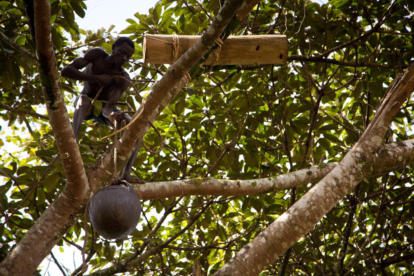 £374 Pound Bid for Ethiopia Community Natural Resources Projects Whilst Resisting Deforestation