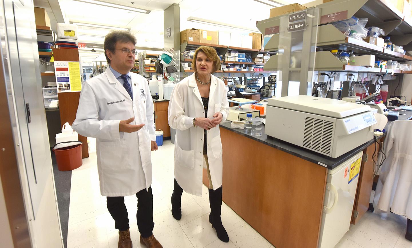 Better donor evaluation, drug therapy in sight for kidney transplants