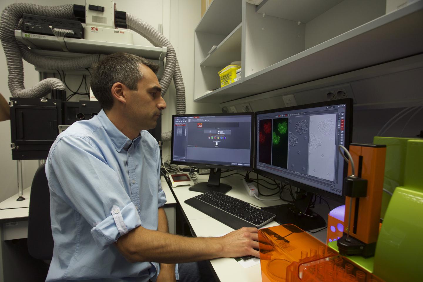 Alejandro Toledo-Arana, CSIC