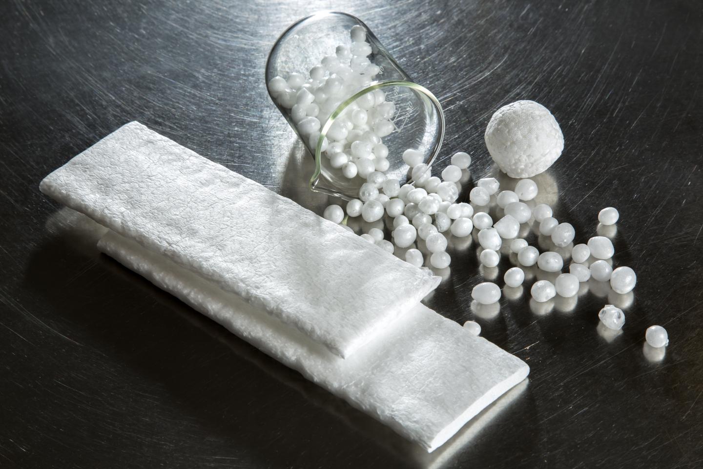 PLA Bioplastics for Insulation and Packaging