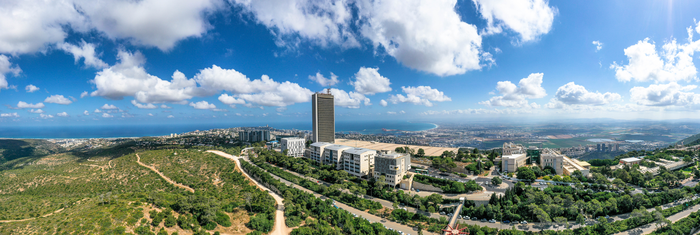 the University of Haifa