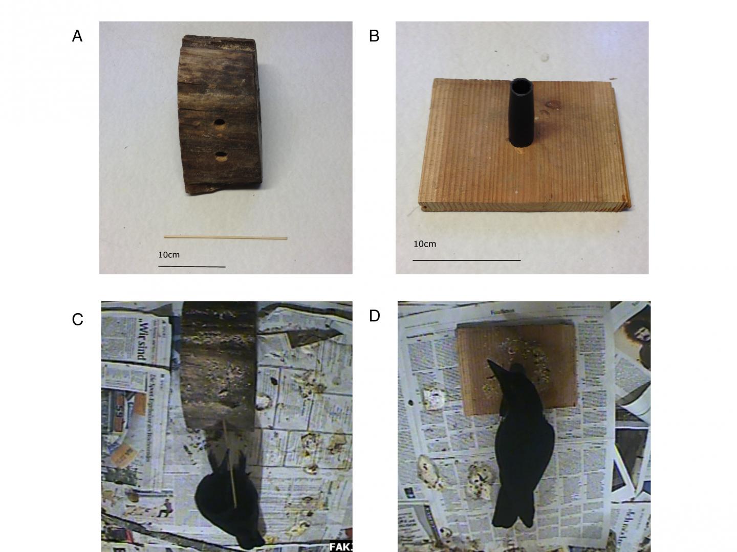 Experimental Apparatus