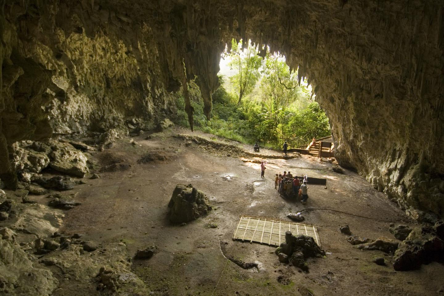 Liang Bua cave