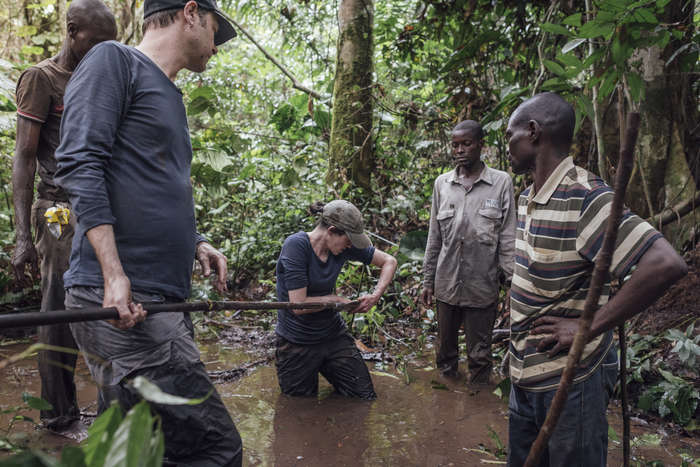 Congo peatlands study