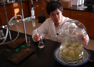 Jian Yang, University of Guam